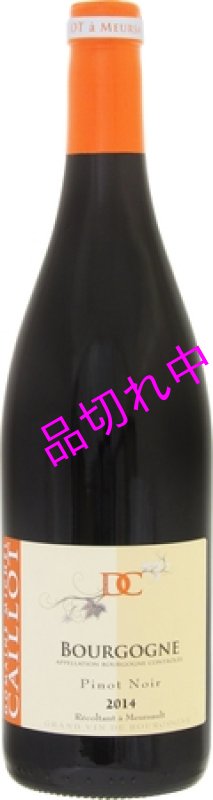 画像1: V2110ミッシェル カイヨブルゴーニュ ピノノワール (1)