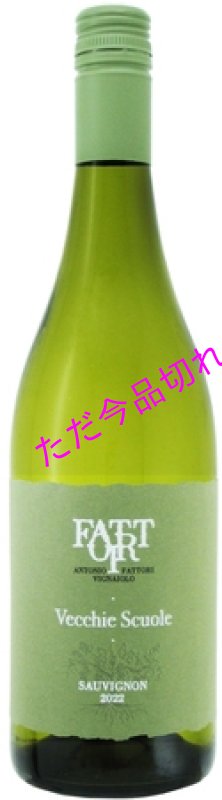 画像1: V2550ファットリソーヴィニヨンブラン ヴェッキエ スクオーレ (1)