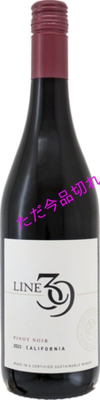 画像1: V2728ライン 39ピノノワール（ＳＣ） (1)