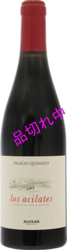 画像1: V2853パラシオ ケマドロス アシラテス (1)
