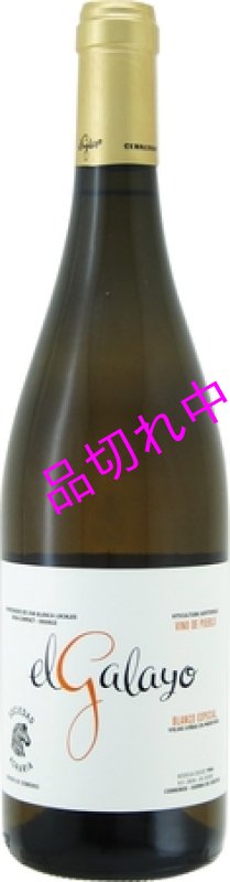 画像1: V339ソト マンリケエル ガラージョ ブランコ エスペシアル (1)