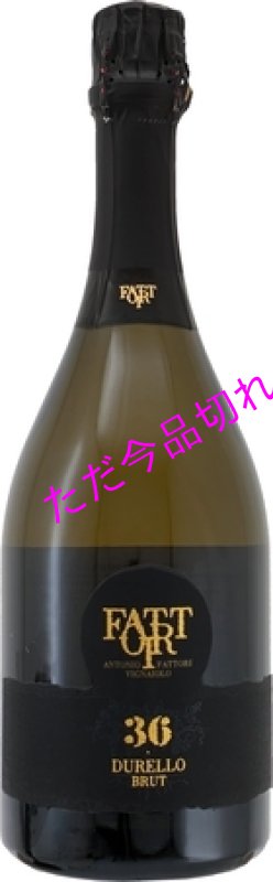画像1: S877ファットリドゥレッロ メトード クラッシコ ３６ (1)